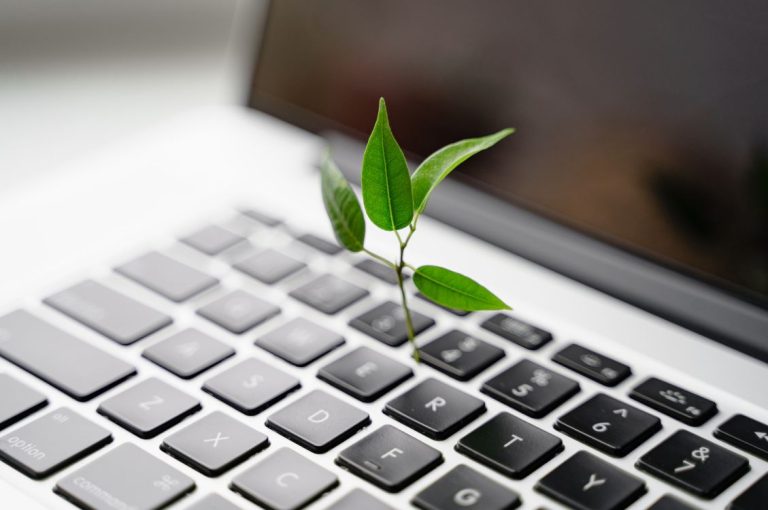 71% das Empresas Brasileiras de Médio Porte Pretendem Investir em Iniciativas ESG, Aponta Pesquisa da Grant Thornton